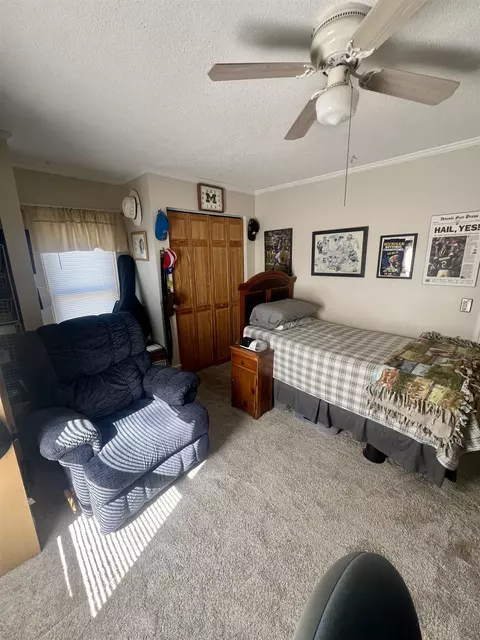 314 E Newark, Ithaca, MI 48847 photo 23