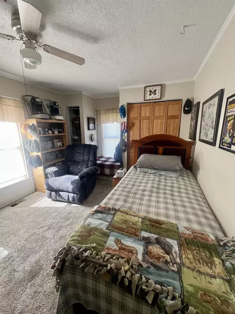 314 E Newark, Ithaca, MI 48847 photo 22