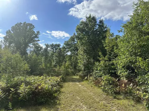 5304 S Brown, Cadillac, MI 49601