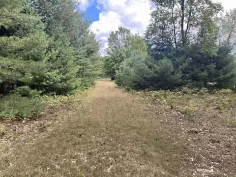 00 Plant, Whittemore, MI 48770