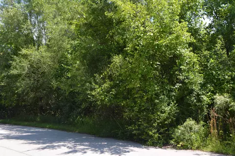 tbd E Vl E Maple, Clare, MI 48617