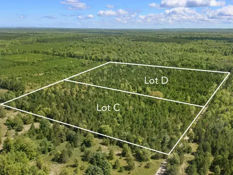 15 Acres Wallin #D, Thompsonville, MI 49683