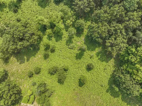 Hemlock, Lake, MI 48632
