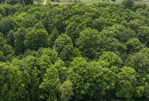 Hemlock, Lake, MI 48632 photo 5