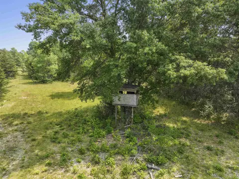Hemlock, Lake, MI 48632 photo 3