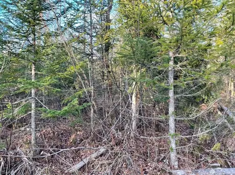 5 N Acres N Everett, Roscommon, MI 48653 photo 2