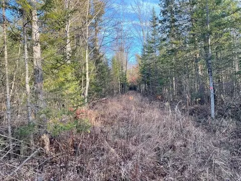 5 N Acres N Everett, Roscommon, MI 48653