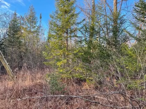 5 N Acres N Everett, Roscommon, MI 48653 photo 4