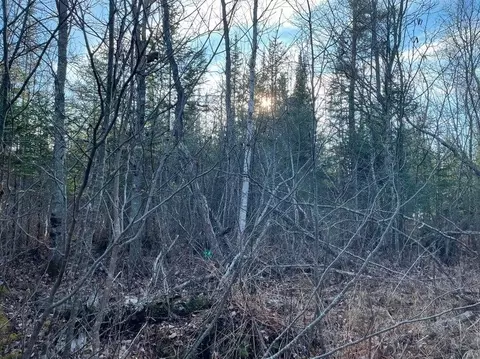 5 N Acres N Everett, Roscommon, MI 48653 photo 3