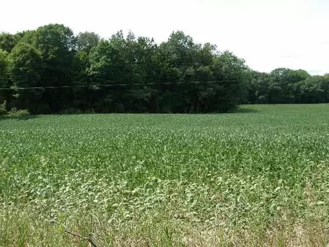 3501 N Bollinger, Vestaburg, MI 48891