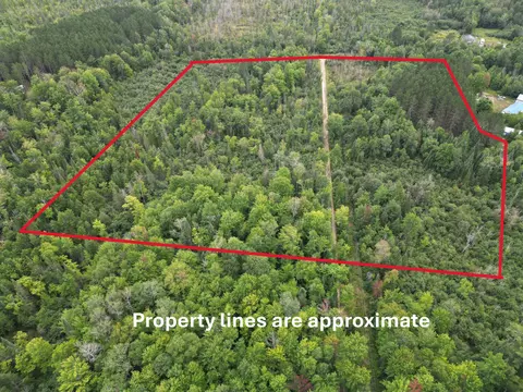 10 11 Acres Golden Rd SE, Kalkaska, MI 49646