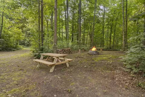 V/l Read, Copemish, MI 49625 photo 24