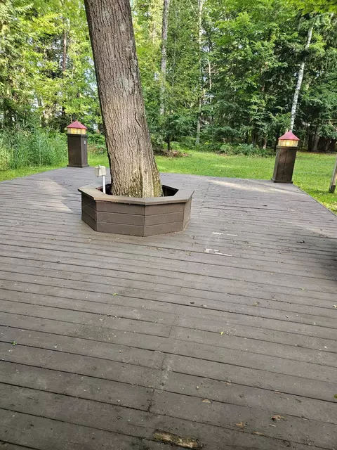 Exterior - 32 Deer, Au Gres, MI 48703 photo 5 of 10