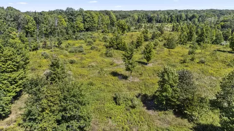 4200 N Elm, White Cloud, MI 49349 photo 26