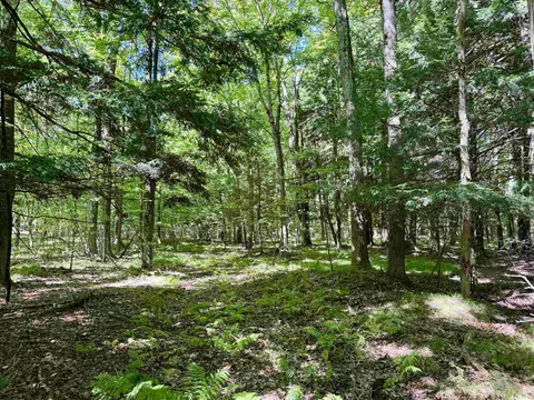 V/l 180th, Stanwood, MI 49346