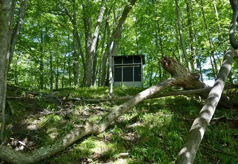 Other - 8080 S Sullivan, Cedar, MI 49621 photo 3 of 8
