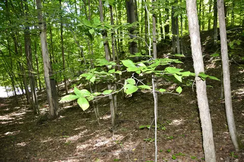 Other - 8080 S Sullivan, Cedar, MI 49621 photo 2 of 8