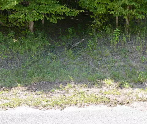 Exterior - 8080 S Sullivan, Cedar, MI 49621 photo 12 of 16