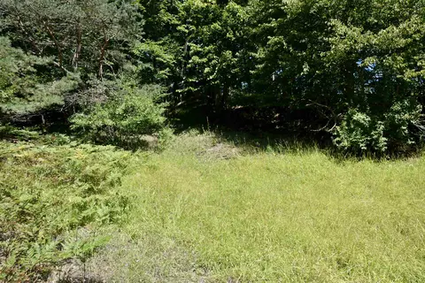 Exterior - 8080 S Sullivan, Cedar, MI 49621 photo 7 of 16