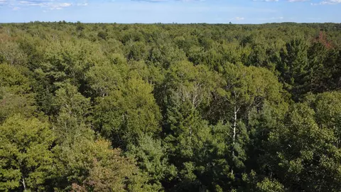 View/Area - 2782 River, Alger, MI 48610 photo 3 of 8