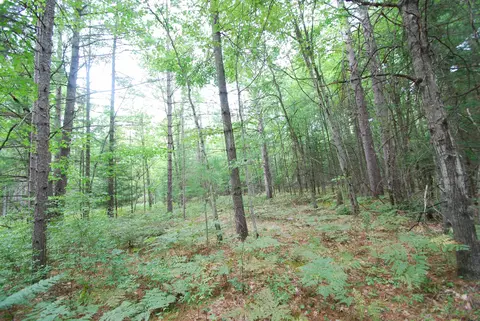 Other - 2782 River, Alger, MI 48610 photo 6 of 25