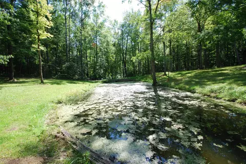 Exterior - 2782 River, Alger, MI 48610 photo 30 of 39