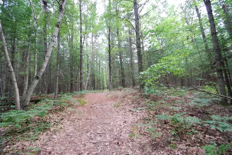 Other - 2782 River, Alger, MI 48610 photo 3 of 25