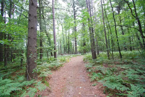Other - 2782 River, Alger, MI 48610 photo 1 of 25