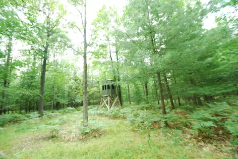 Exterior - 2782 River, Alger, MI 48610 photo 6 of 39