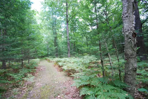 Other - 2782 River, Alger, MI 48610 photo 2 of 25
