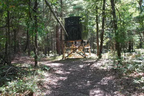 Other - 2782 River, Alger, MI 48610 photo 12 of 25