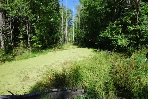 Other - 2782 River, Alger, MI 48610 photo 13 of 25