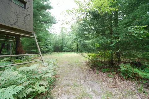 Exterior - 2782 River, Alger, MI 48610 photo 12 of 39