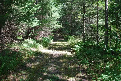 Other - 2782 River, Alger, MI 48610 photo 11 of 25