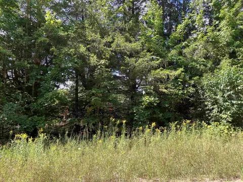 180 Flowing Wl, Kalkaska, MI 49646