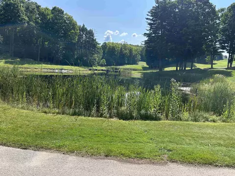 lot48 Sparrow Hawk, Bellaire, MI 49615