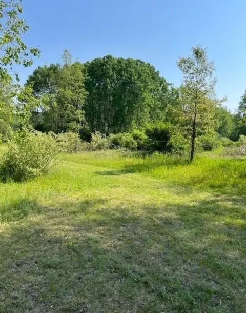 10754 W Dunlop, Lake, MI 48632