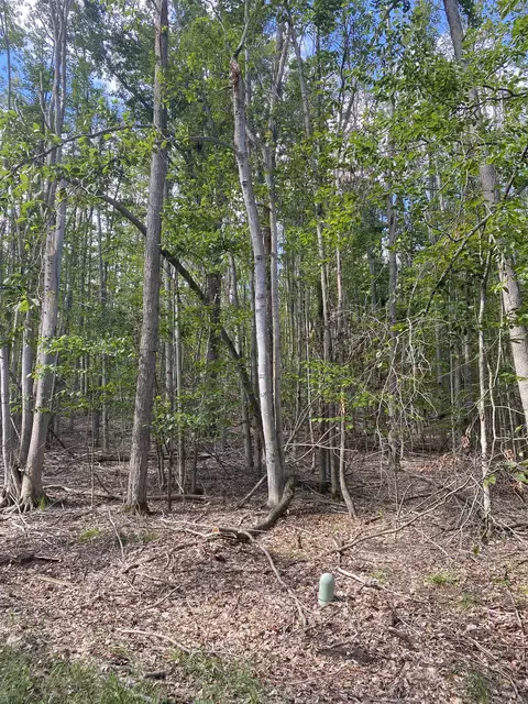 lot S 156 157 Hummingbird #LOT : 156/57, Gaylord, MI 49735