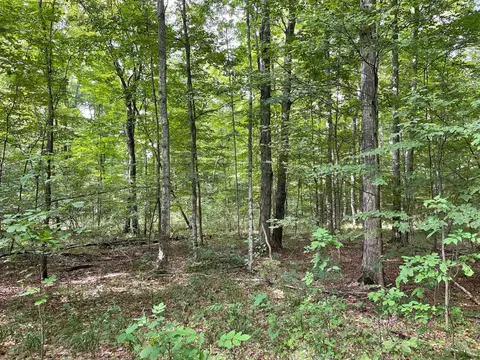 00 Cedar, Honor, MI 49640 photo 5