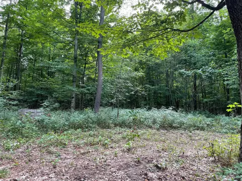 00 Cedar, Honor, MI 49640 photo 3