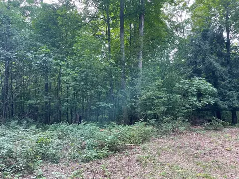 00 Cedar, Honor, MI 49640 photo 4