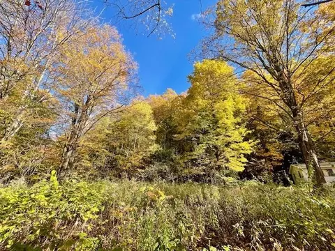 00 Cedar, Honor, MI 49640 photo 6