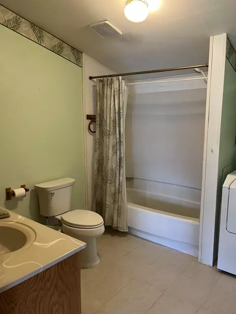 214 Cook, Maple Rapids, MI 48853 photo 4