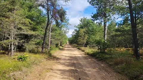 killeen, Grayling, MI 49738