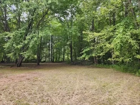 5870 W Dopp, Shepherd, MI 48883 photo 5