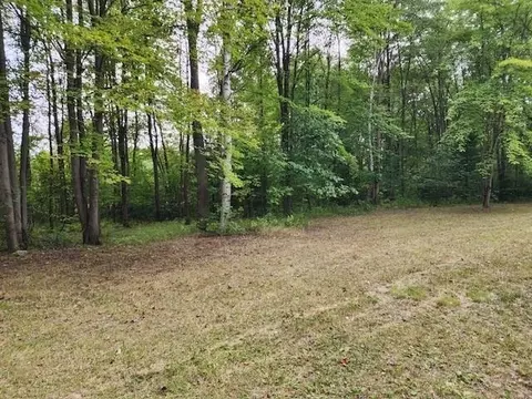 5870 W Dopp, Shepherd, MI 48883 photo 8