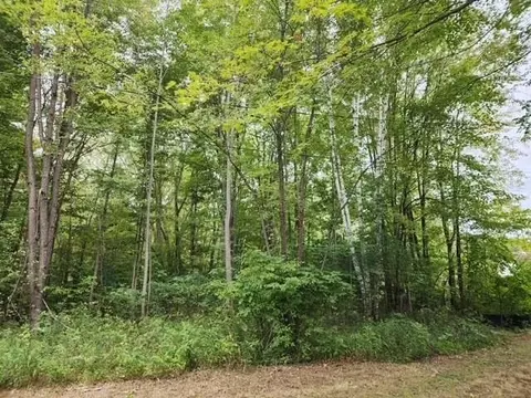 5870 W Dopp, Shepherd, MI 48883