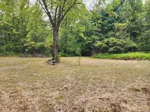 5870 W Dopp, Shepherd, MI 48883 photo 3