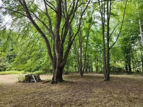 5870 W Dopp, Shepherd, MI 48883 photo 6