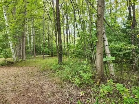 5870 W Dopp, Shepherd, MI 48883 photo 2